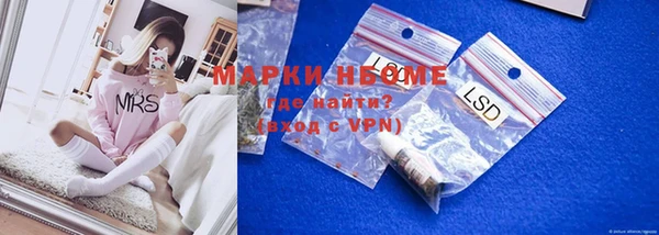 крисы Надым