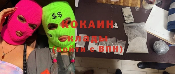 индика Алексеевка