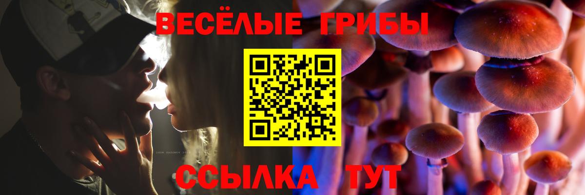 Галлюциногенные грибы Psilocybe  Вход с VPN  Псилоцибиновые грибы Cubensis  Советская Гавань 